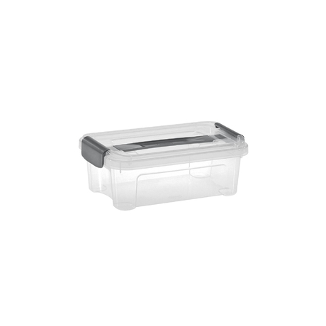 Combi Box with lid with handle and clips  | 2,5 L